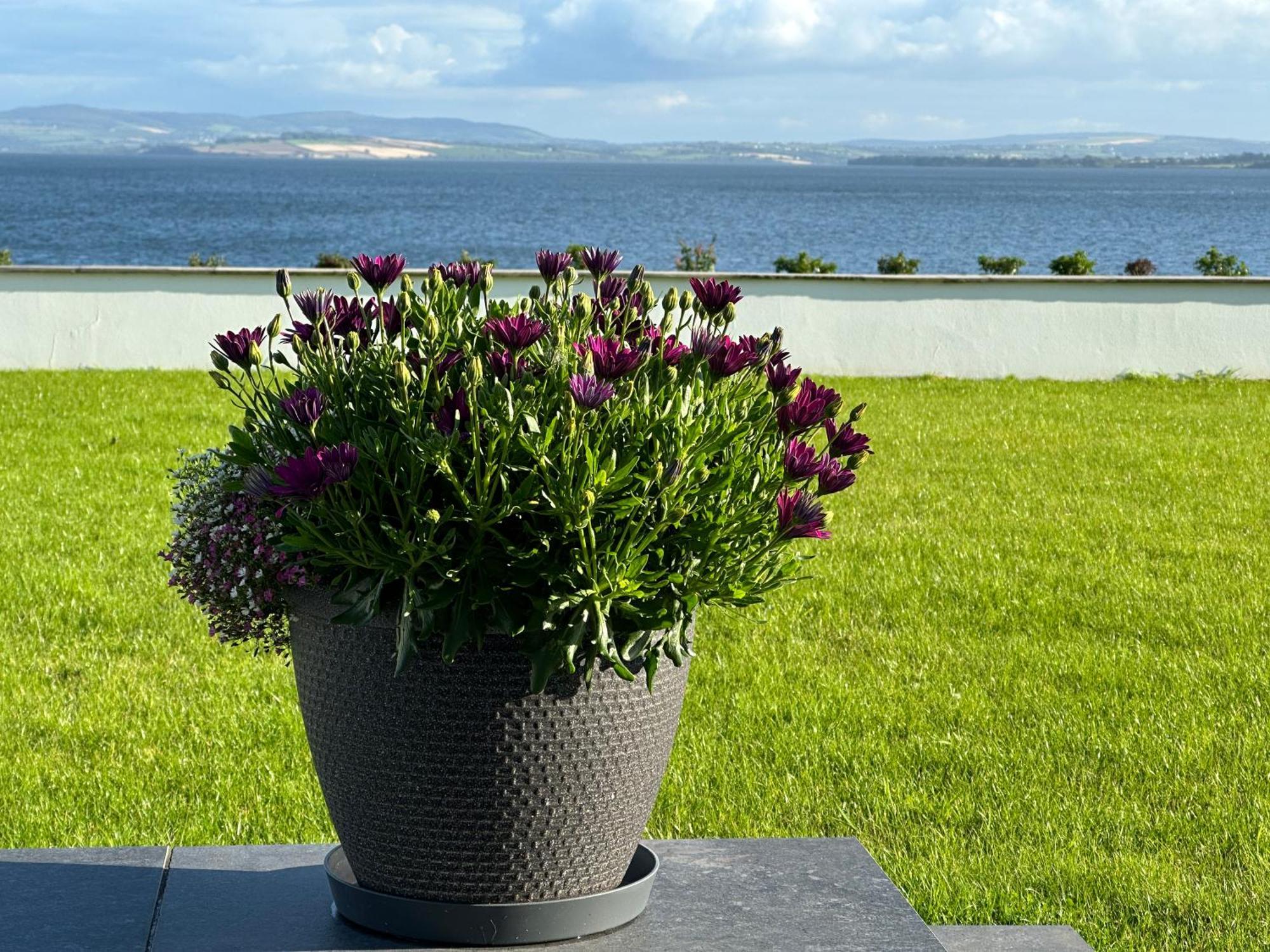 Sea Vista - Rathmullan Villa Eksteriør bilde