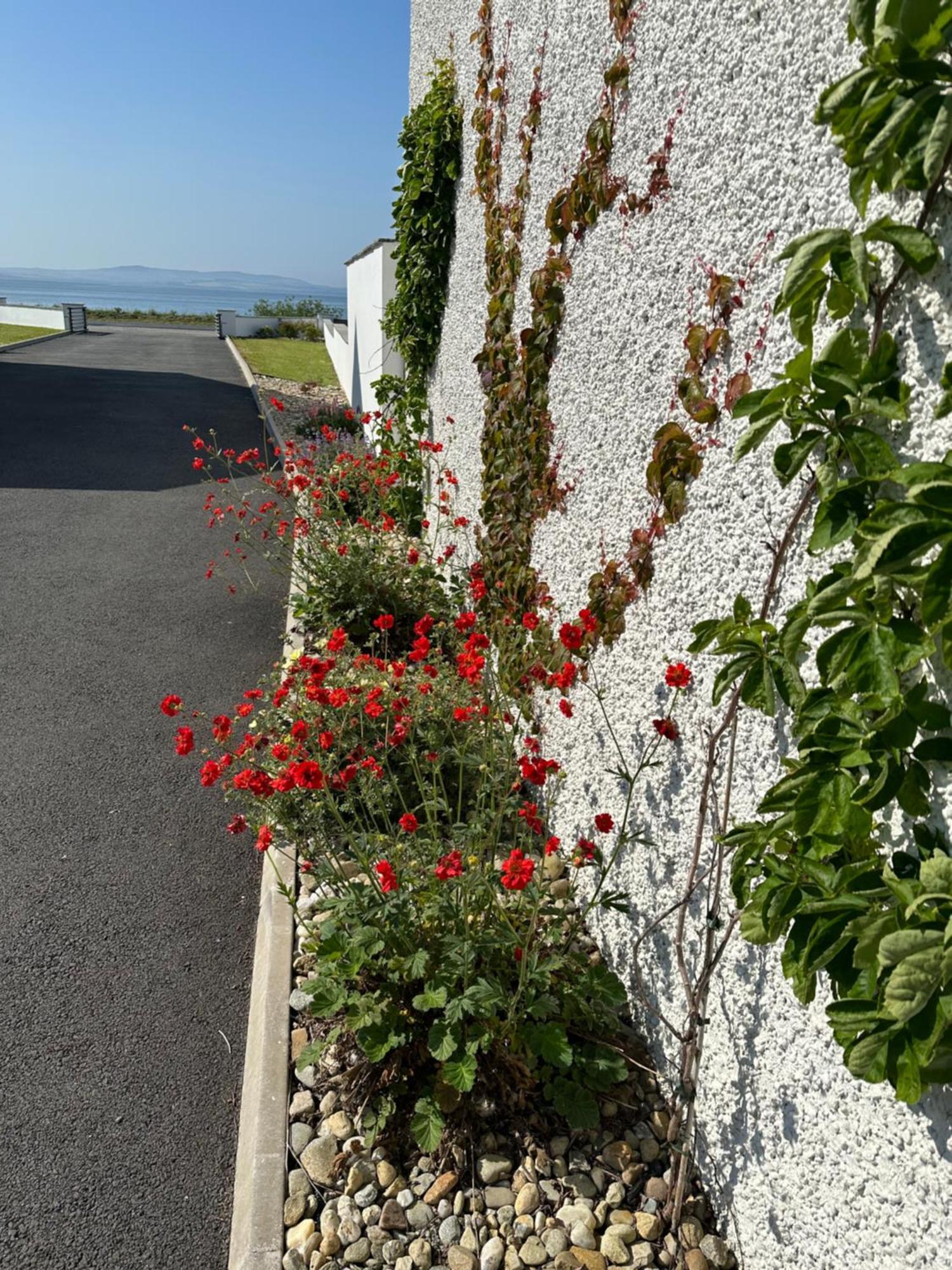 Sea Vista - Rathmullan Villa Eksteriør bilde